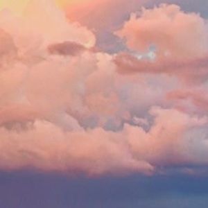 Meet your Posher, Arianna